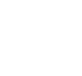 BDG Media